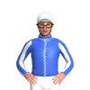 Jockey Silk