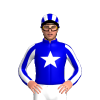 Jockey Silk