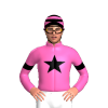 Jockey Silk