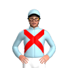 Jockey Silk