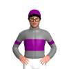 Jockey Silk