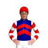 Jockey Silk