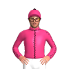 Jockey Silk