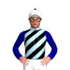 Jockey Silk