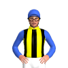 Jockey Silk