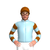 Jockey Silk