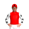 Jockey Silk