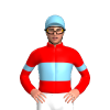 Jockey Silk