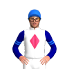 Jockey Silk