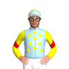 Jockey Silk