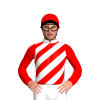 Jockey Silk