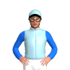 Jockey Silk