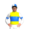 Jockey Silk