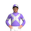 Jockey Silk