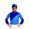 Jockey Silk