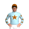 Jockey Silk