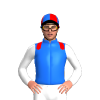 Jockey Silk