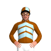 Jockey Silk