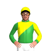 Jockey Silk