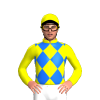 Jockey Silk