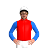 Jockey Silk