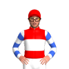 Jockey Silk