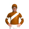 Jockey Silk