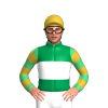 Jockey Silk