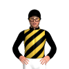 Jockey Silk