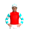 Jockey Silk