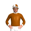Jockey Silk