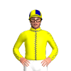 Jockey Silk
