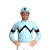 Jockey Silk