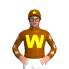 Jockey Silk
