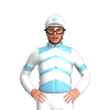 Jockey Silk