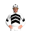 Jockey Silk