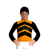 Jockey Silk