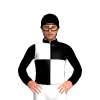 Jockey Silk