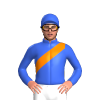 Jockey Silk
