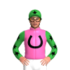 Jockey Silk