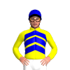 Jockey Silk
