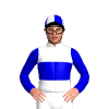 Jockey Silk