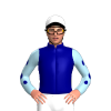 Jockey Silk
