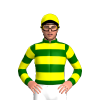 Jockey Silk