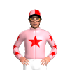 Jockey Silk