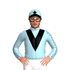 Jockey Silk