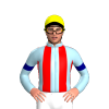 Jockey Silk