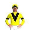 Jockey Silk