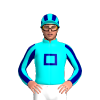 Jockey Silk