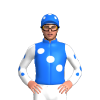Jockey Silk